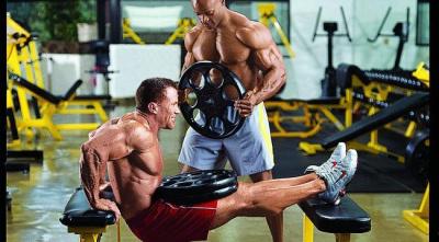 Fitness Drive Bench Dips