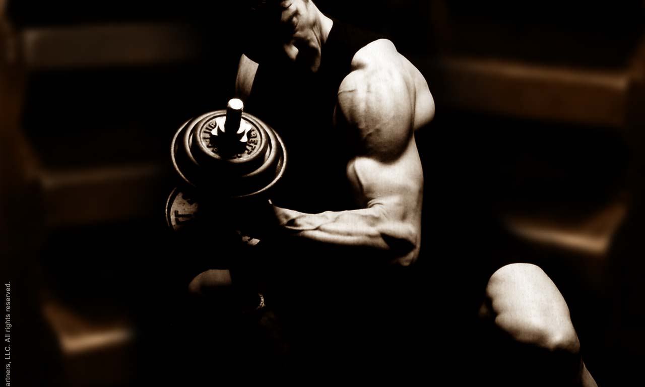 Fitness Drive Curling Weights For Bigger Arms