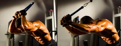 Fitness Drive Overhead Tricep Extensions