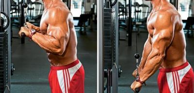 Fitness Drive Tricep Extensions