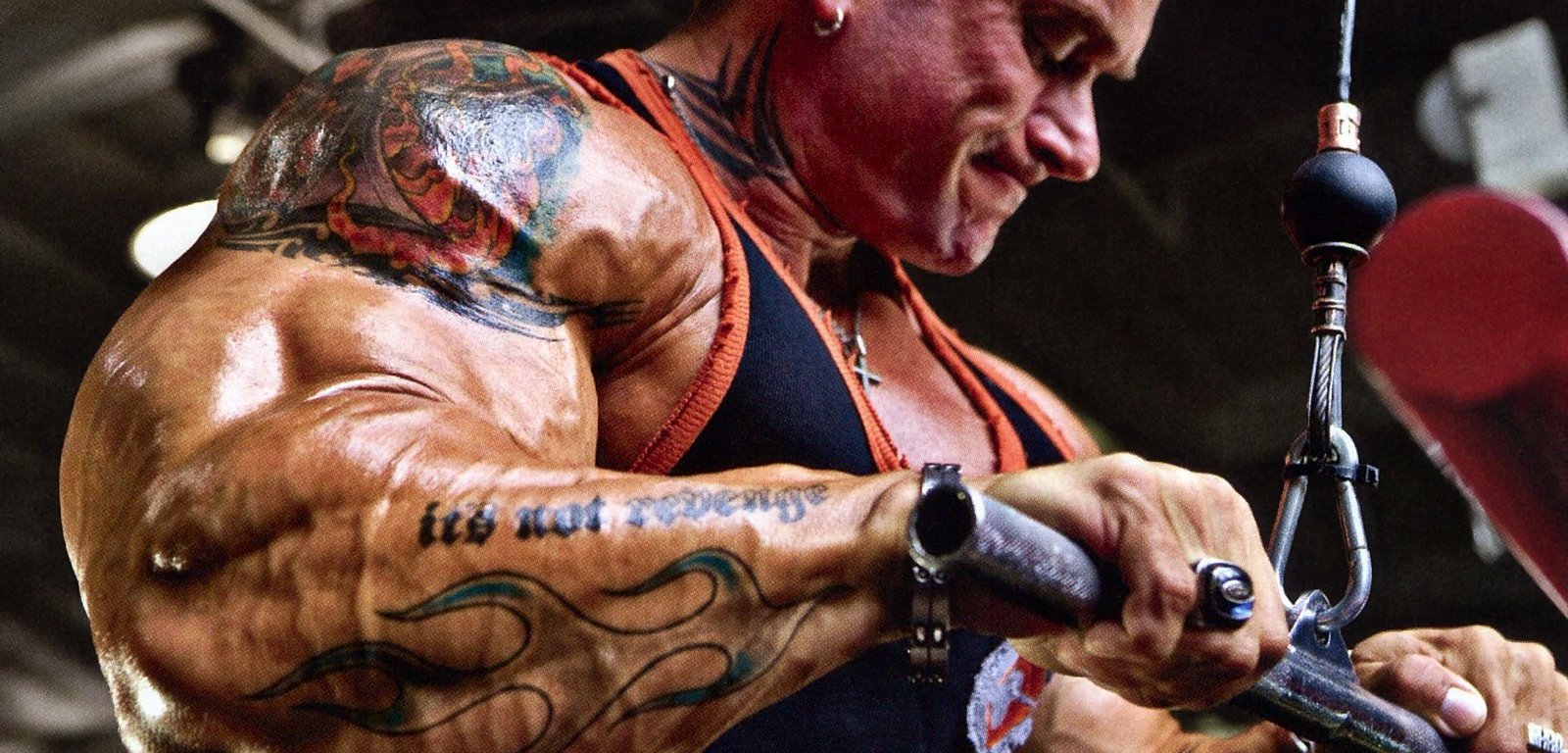 4 day workout routine