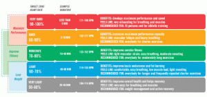 Fat Burn, Cardio, Performance, Fitness